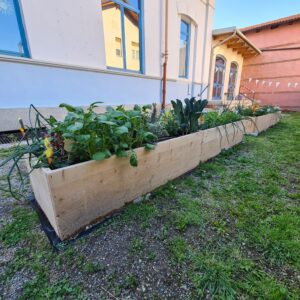 orto nel cortile della scuola dell'infanzia di cavour